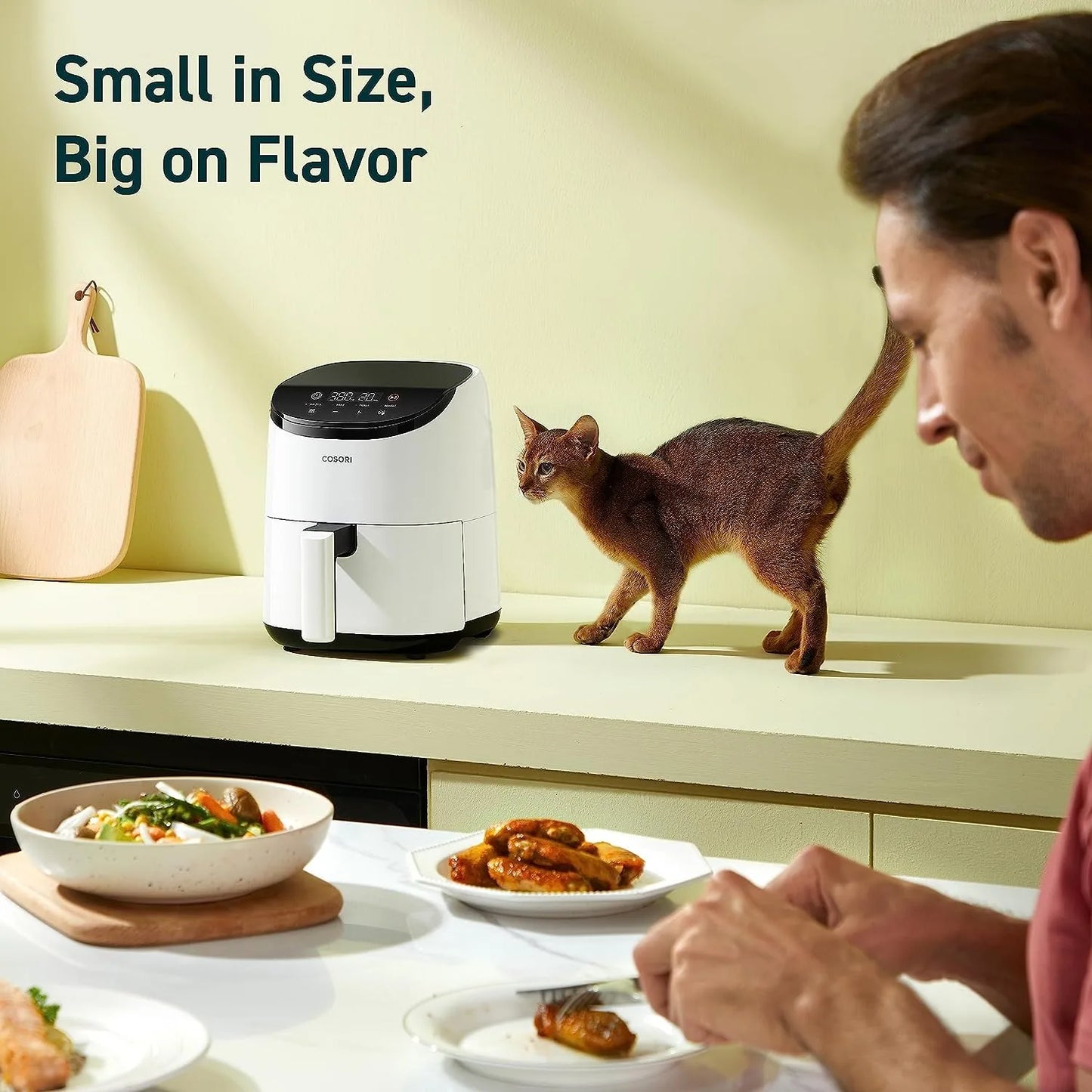 4-in-1 Mini Air Fryer Oven